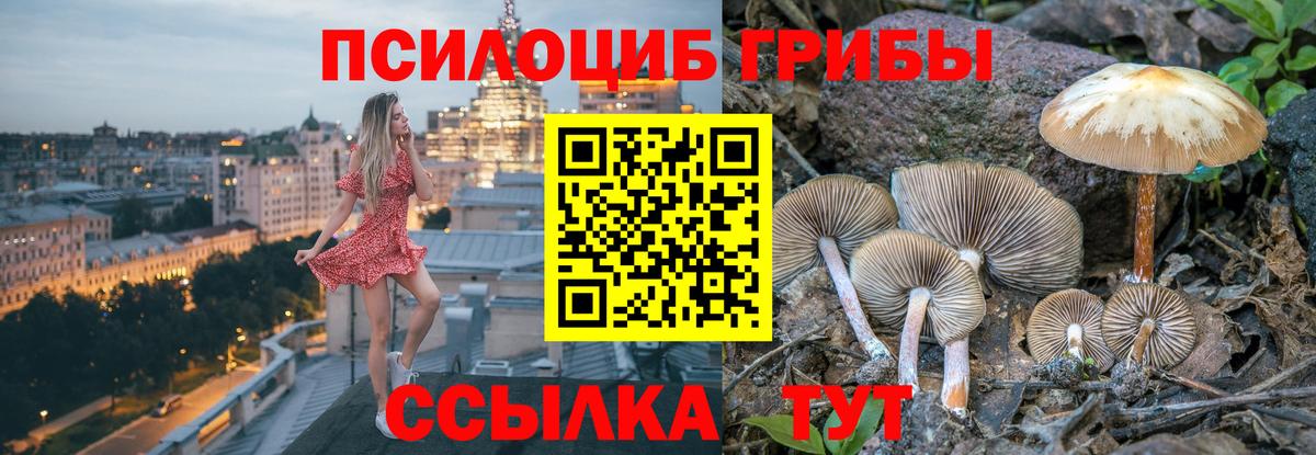 Кропоткин  Псилоцибиновые грибы ЛСД  Вход с VPN 